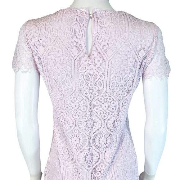 Mi Ami by Francesca’s Mini Lace Dress Mini Womens Pastel - Picture 6 of 11